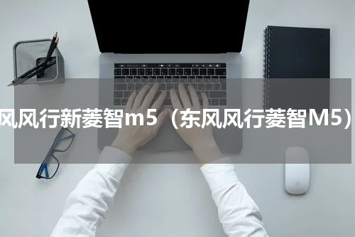 东风风行新菱智m5（东风风行菱智M5）