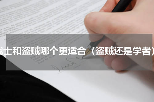 战士和盗贼哪个更适合（盗贼还是学者）