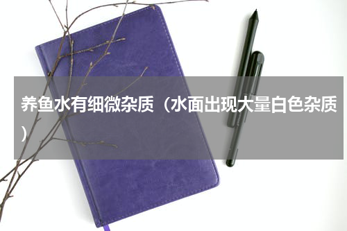 养鱼水有细微杂质（水面出现大量白色杂质）