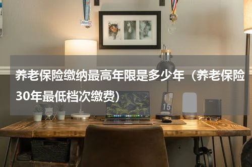 养老保险缴纳最高年限是多少年（养老保险30年最低档次缴费）