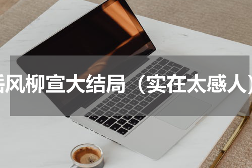 岳风柳宣大结局（实在太感人）