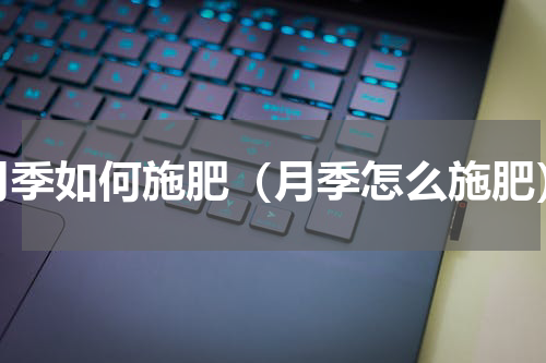 月季如何施肥（月季怎么施肥）