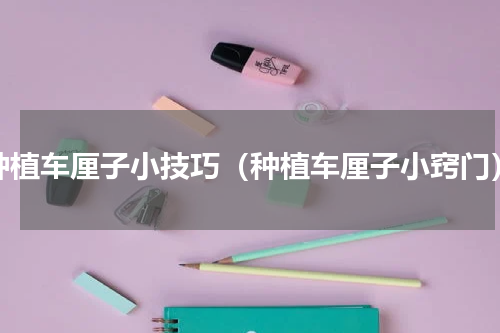 种植车厘子小技巧（种植车厘子小窍门）
