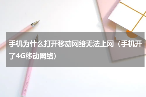 手机为什么打开移动网络无法上网（手机开了4G移动网络）