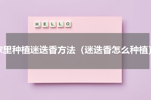 家里种植迷迭香方法（迷迭香怎么种植）