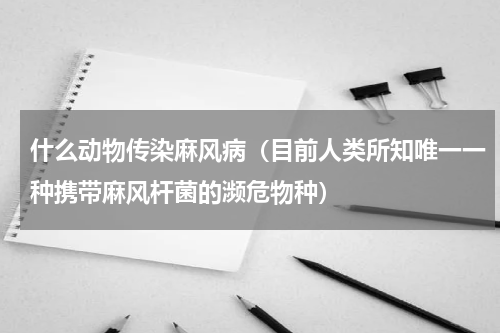 什么动物传染麻风病（目前人类所知唯一一种携带麻风杆菌的濒危物种）