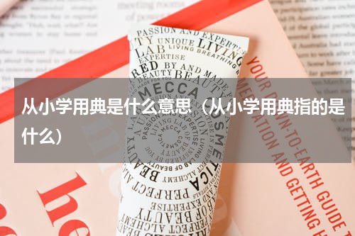 从小学用典是什么意思（从小学用典指的是什么）