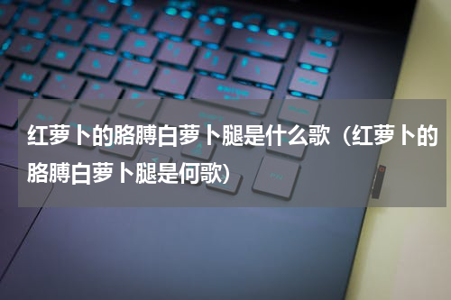 红萝卜的胳膊白萝卜腿是什么歌（红萝卜的胳膊白萝卜腿是何歌）