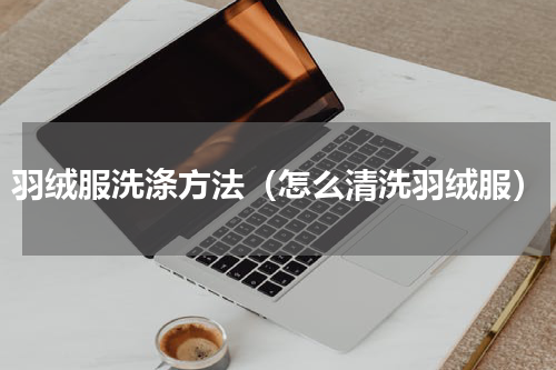 羽绒服洗涤方法（怎么清洗羽绒服）
