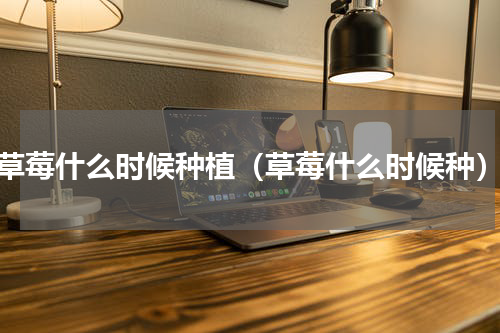 草莓什么时候种植（草莓什么时候种）