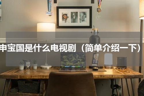 申宝国是什么电视剧（简单介绍一下）