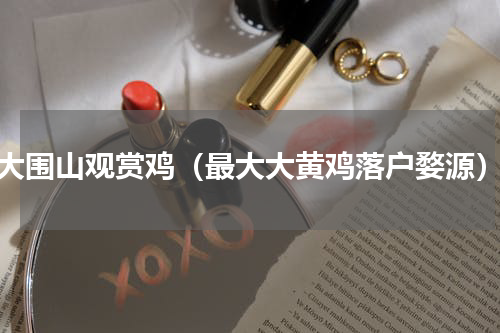 大围山观赏鸡（最大大黄鸡落户婺源）