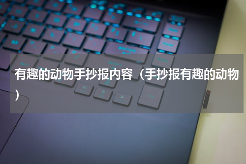 有趣的动物手抄报内容（手抄报有趣的动物）