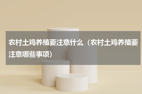 农村土鸡养殖要注意什么（农村土鸡养殖要注意哪些事项）