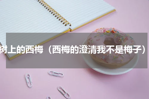 树上的西梅（西梅的澄清我不是梅子）