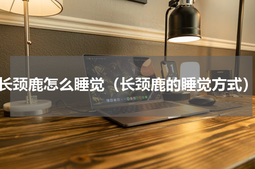 长颈鹿怎么睡觉（长颈鹿的睡觉方式）