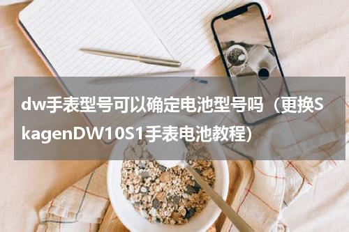 dw手表型号可以确定电池型号吗（更换SkagenDW10S1手表电池教程）