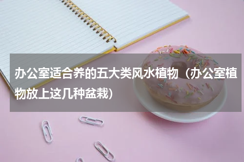 办公室适合养的五大类风水植物（办公室植物放上这几种盆栽）