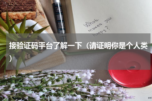 接验证码平台了解一下（请证明你是个人类）