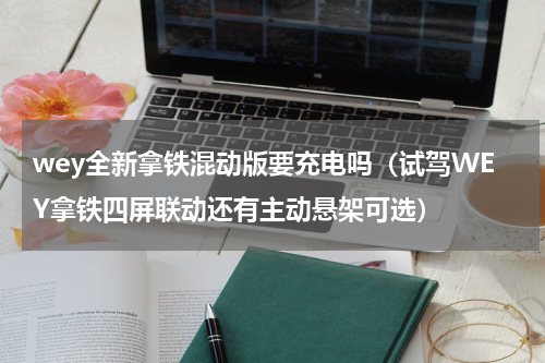 wey全新拿铁混动版要充电吗（试驾WEY拿铁四屏联动还有主动悬架可选）