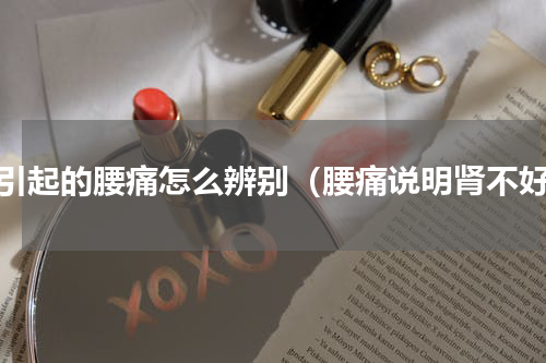 肾引起的腰痛怎么辨别（腰痛说明肾不好）