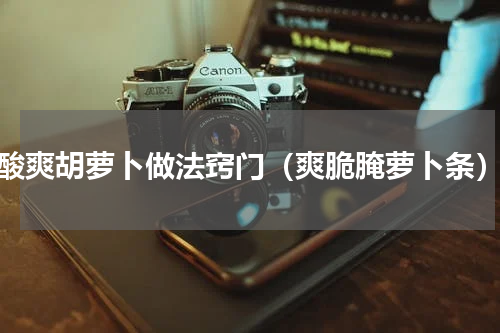 酸爽胡萝卜做法窍门（爽脆腌萝卜条）