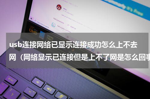 usb连接网络已显示连接成功怎么上不去网（网络显示已连接但是上不了网是怎么回事）