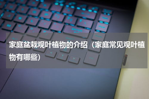 家庭盆栽观叶植物的介绍（家庭常见观叶植物有哪些）