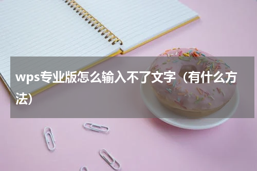 wps专业版怎么输入不了文字（有什么方法）
