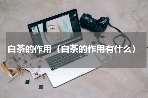 白茶的作用（白茶的作用有什么）