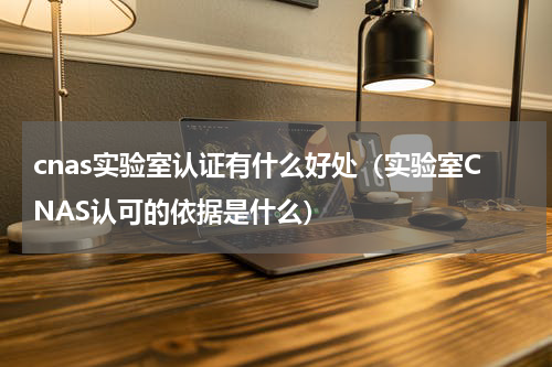 cnas实验室认证有什么好处（实验室CNAS认可的依据是什么）