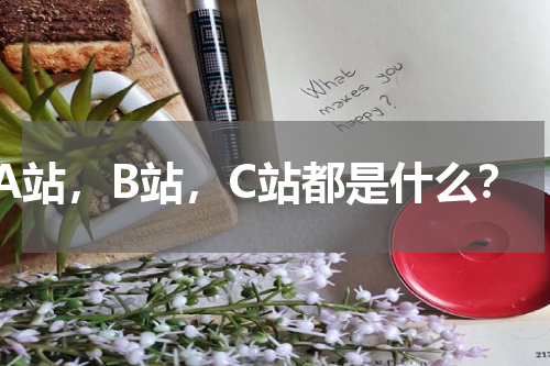 A站，B站，C站都是什么？
