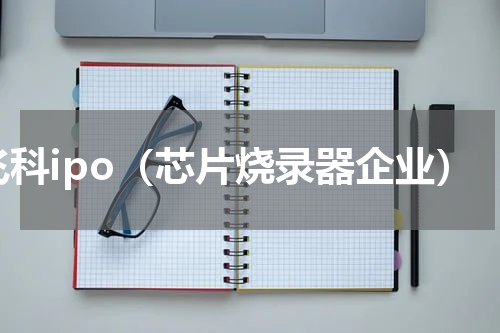 飞科ipo（芯片烧录器企业）