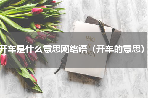 开车是什么意思网络语（开车的意思）
