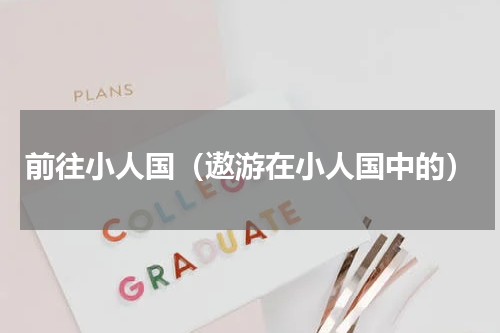 前往小人国（遨游在小人国中的）