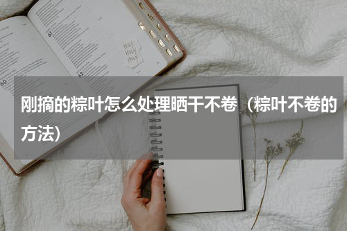 刚摘的粽叶怎么处理晒干不卷（粽叶不卷的方法）