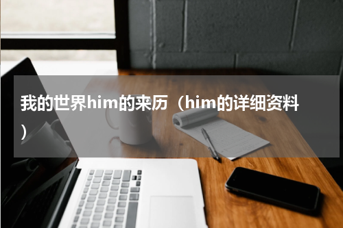 我的世界him的来历（him的详细资料）