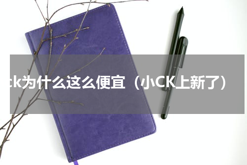 小ck为什么这么便宜（小CK上新了）