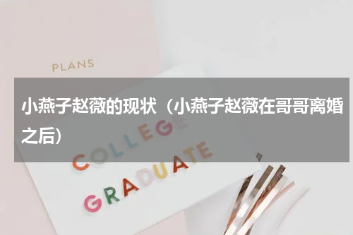 小燕子赵薇的现状（小燕子赵薇在哥哥离婚之后）