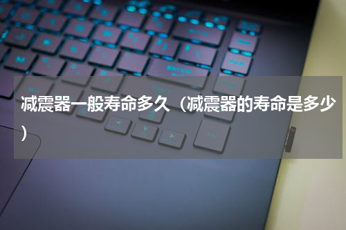 减震器一般寿命多久（减震器的寿命是多少）
