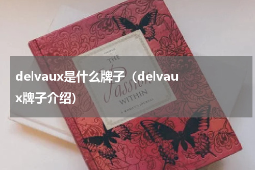 delvaux是什么牌子（delvaux牌子介绍）