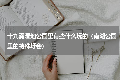 十九涌湿地公园里有些什么玩的（南湖公园里的特殊圩会）