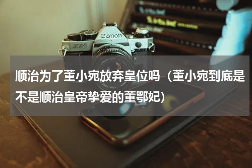 顺治为了董小宛放弃皇位吗（董小宛到底是不是顺治皇帝挚爱的董鄂妃）