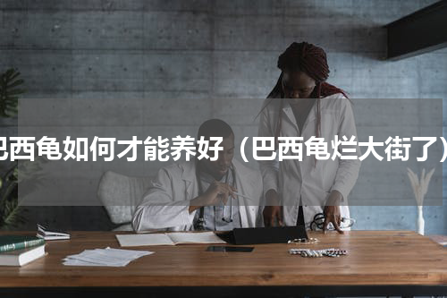 巴西龟如何才能养好（巴西龟烂大街了）