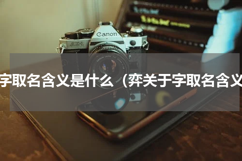 弈字取名含义是什么（弈关于字取名含义）