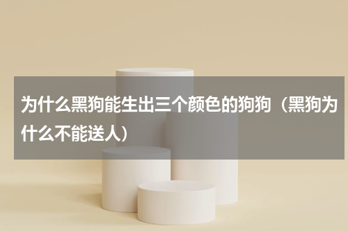 为什么黑狗能生出三个颜色的狗狗（黑狗为什么不能送人）