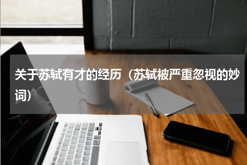 关于苏轼有才的经历（苏轼被严重忽视的妙词）