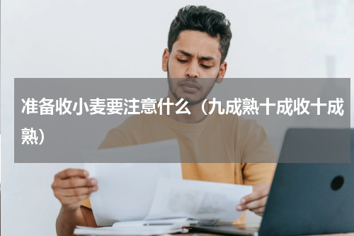 准备收小麦要注意什么（九成熟十成收十成熟）