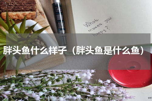 胖头鱼什么样子（胖头鱼是什么鱼）