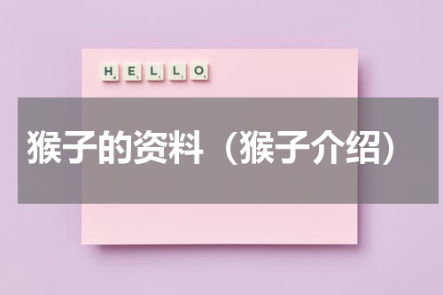猴子的资料（猴子介绍）